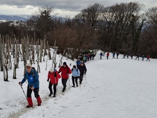 33. zimski vzpon na Trdinov vrh